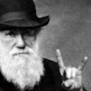 Meet your Posher, Andre